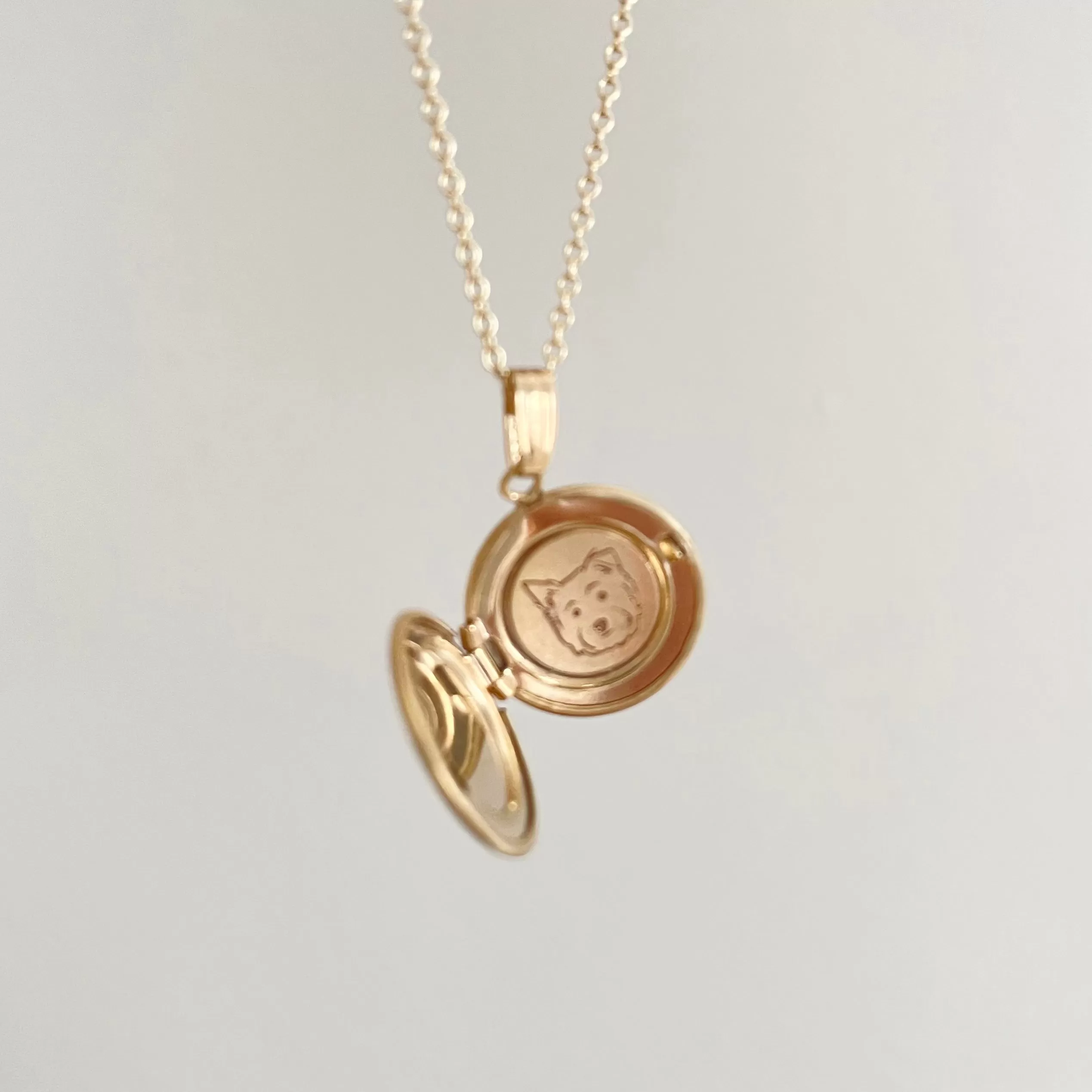 14k Yellow Gold Petite Silhouette Locket