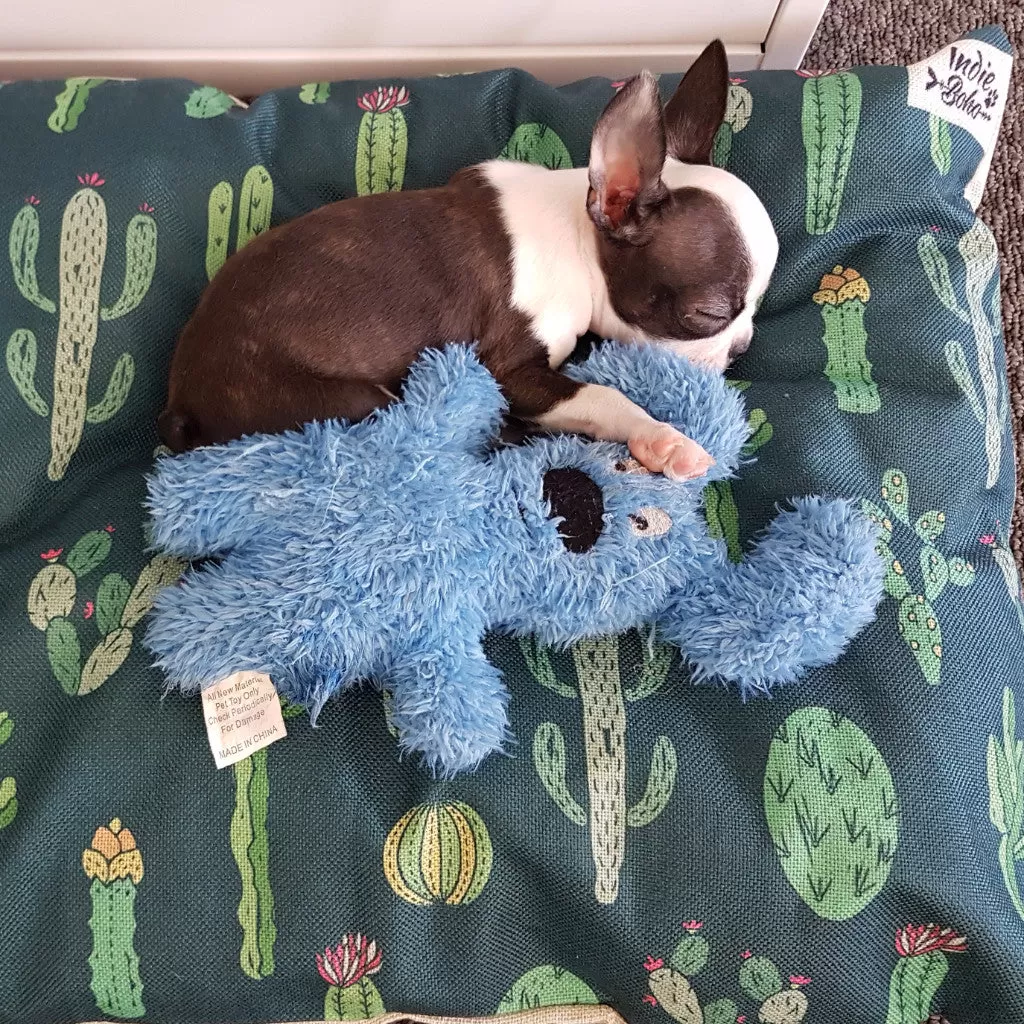 Cactus Garden – MEDIUM Pet Bed