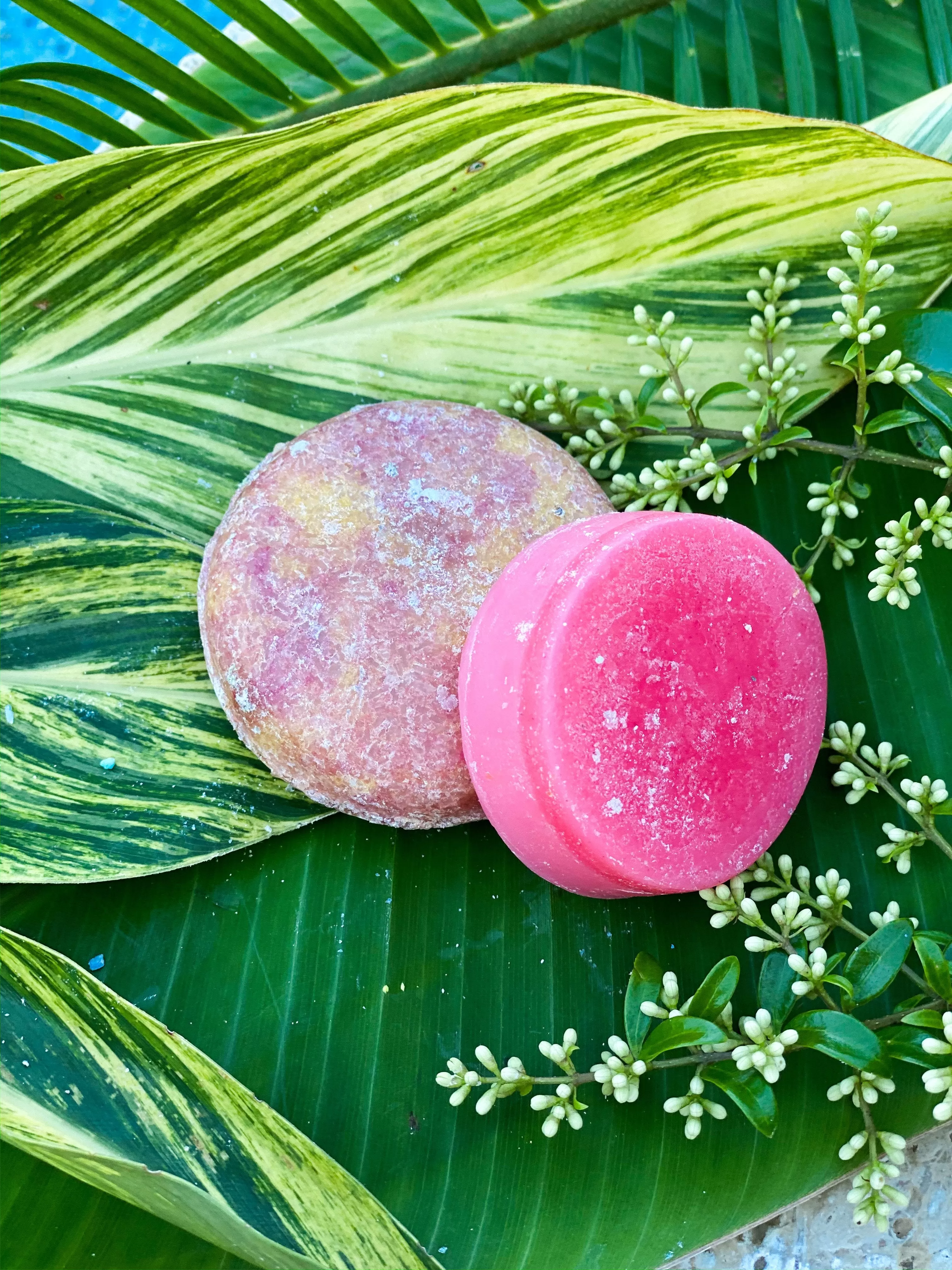 Island Pink Shampoo & Conditioner Bars - On Hand