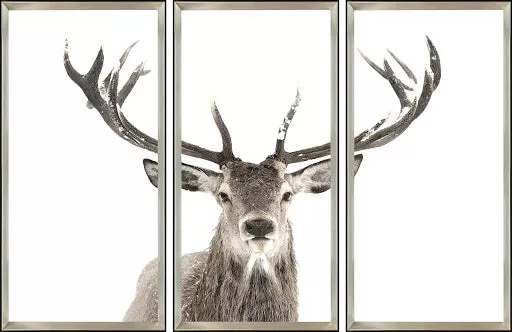 PICTURE DEP - TRIPTYCH STAG PICTURE