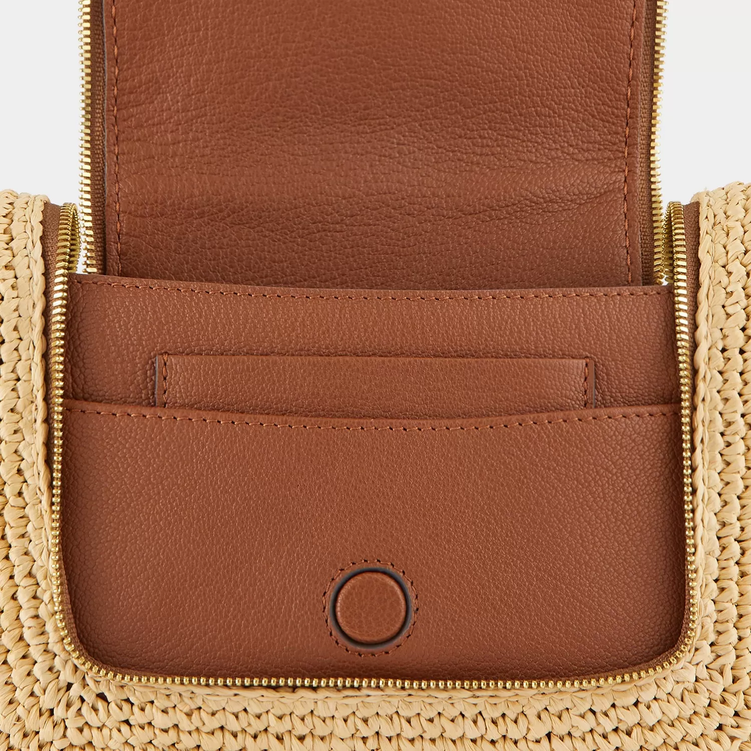 Raffia Small Vere Soft Satchel Cross-body