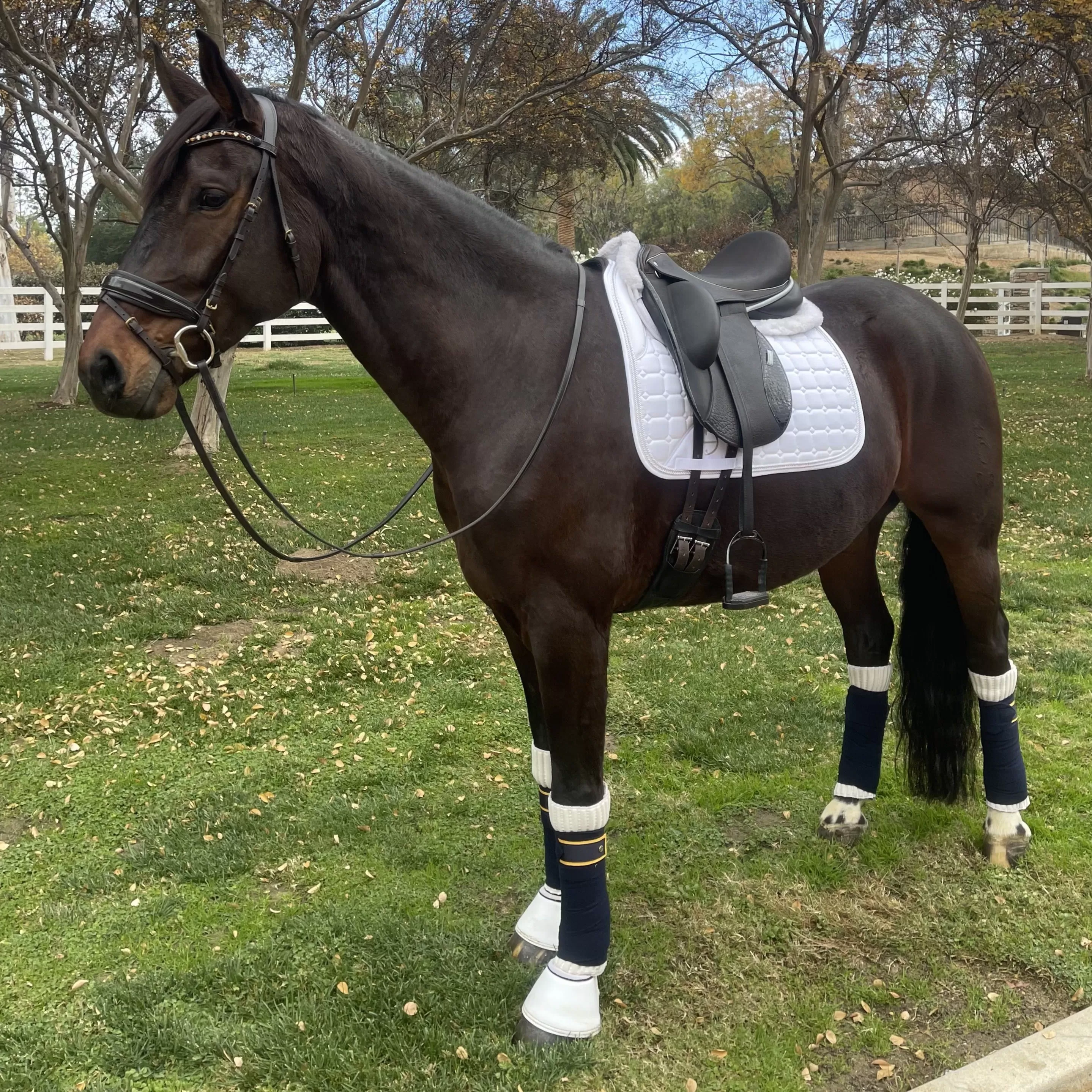 Satin Classic Dressage Saddle Pad - White