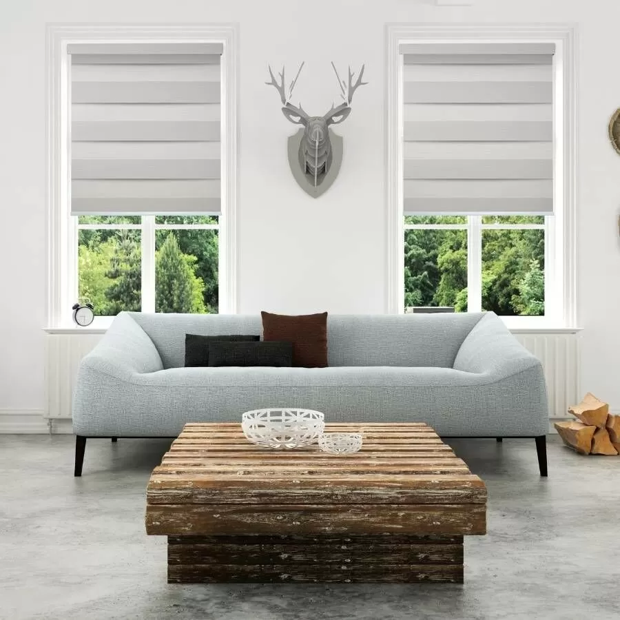 Tarin Classic Light Filtering Zebra Blinds