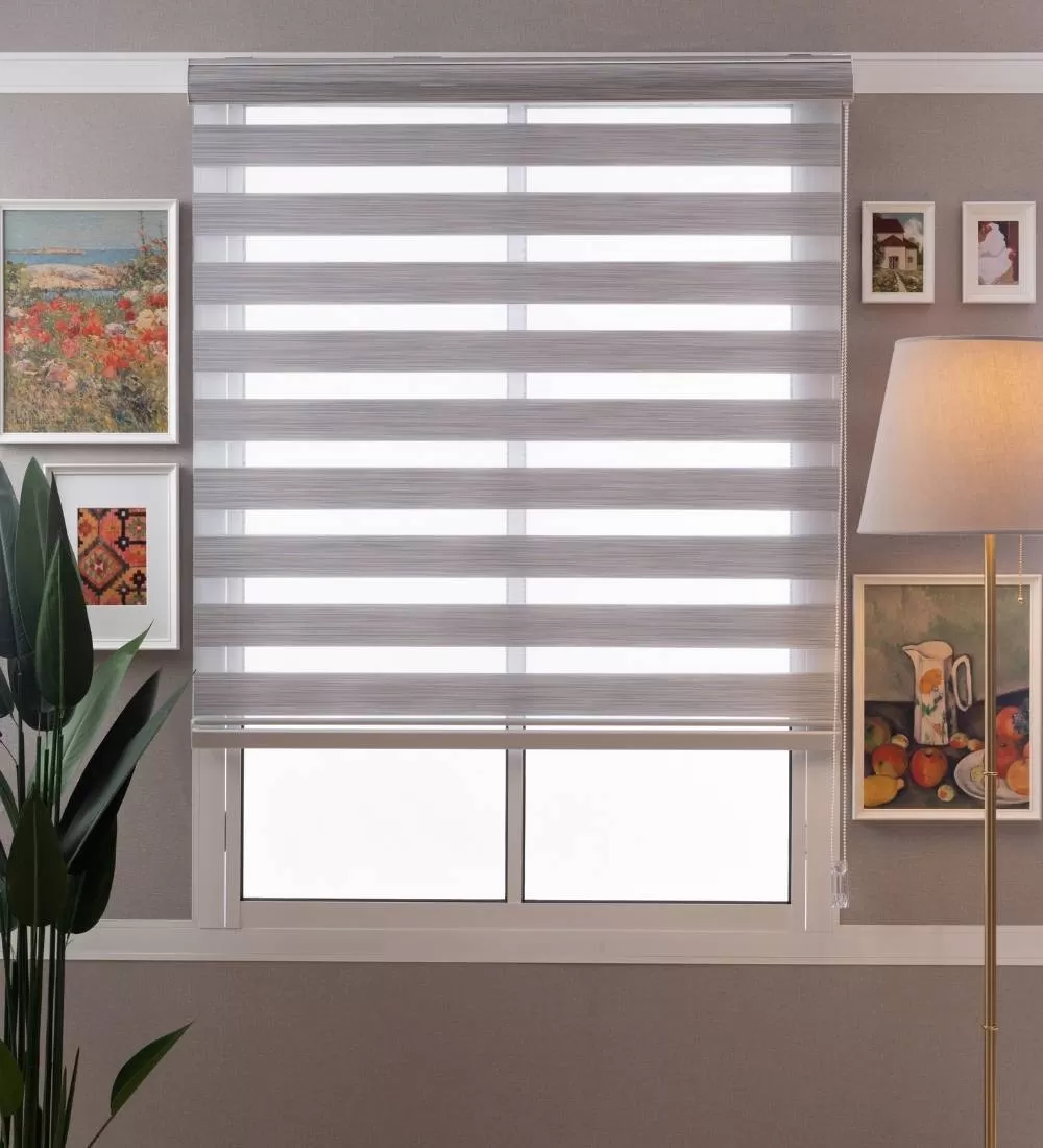 Tarin Classic Light Filtering Zebra Blinds