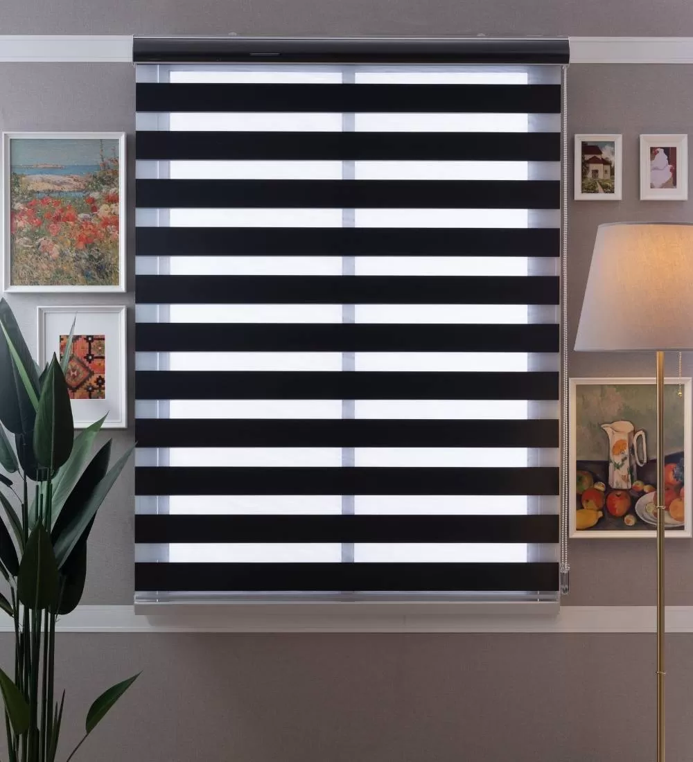 Tarin Classic Light Filtering Zebra Blinds