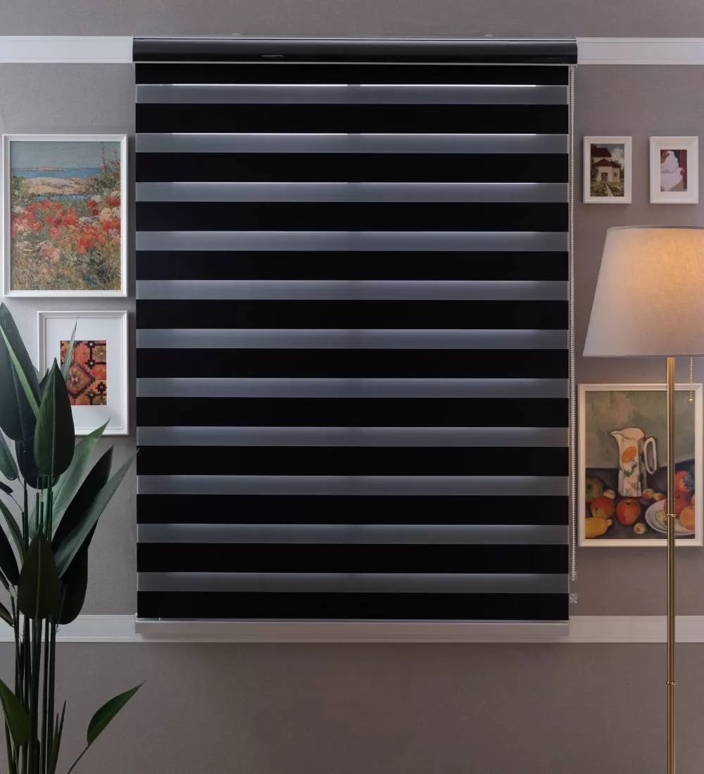 Tarin Classic Light Filtering Zebra Blinds