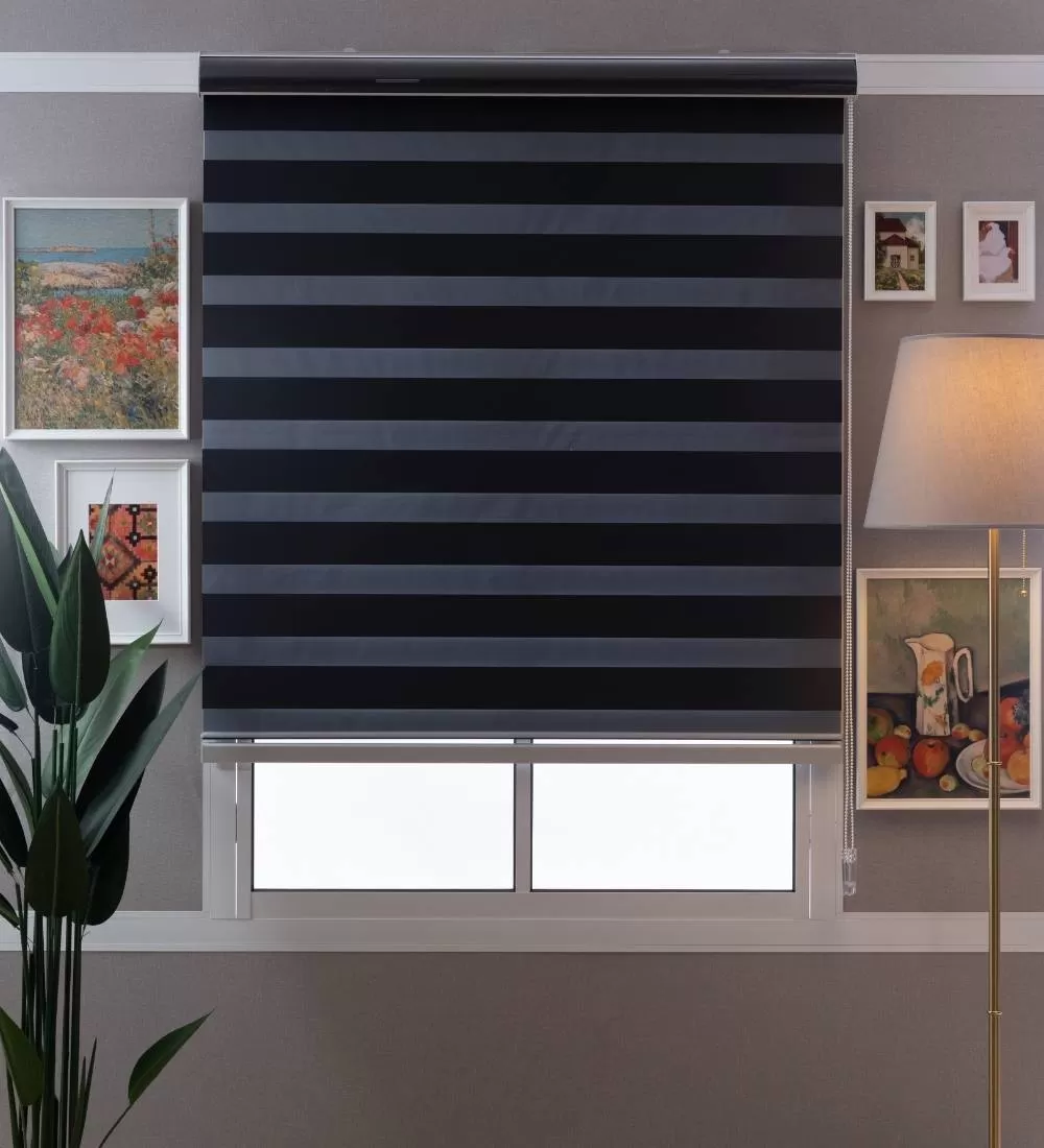 Tarin Classic Light Filtering Zebra Blinds