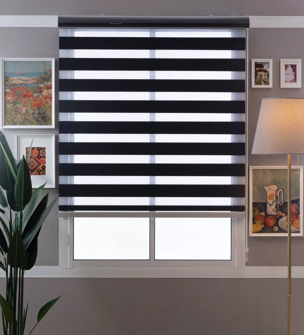 Tarin Classic Light Filtering Zebra Blinds