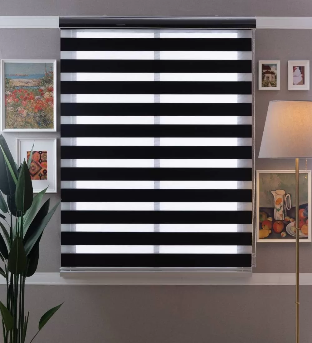 Tarin Classic Light Filtering Zebra Blinds