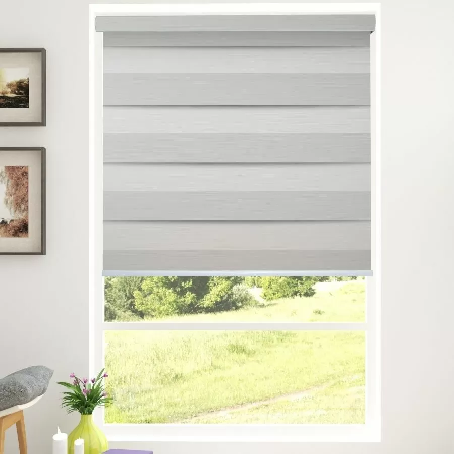 Tarin Classic Light Filtering Zebra Blinds