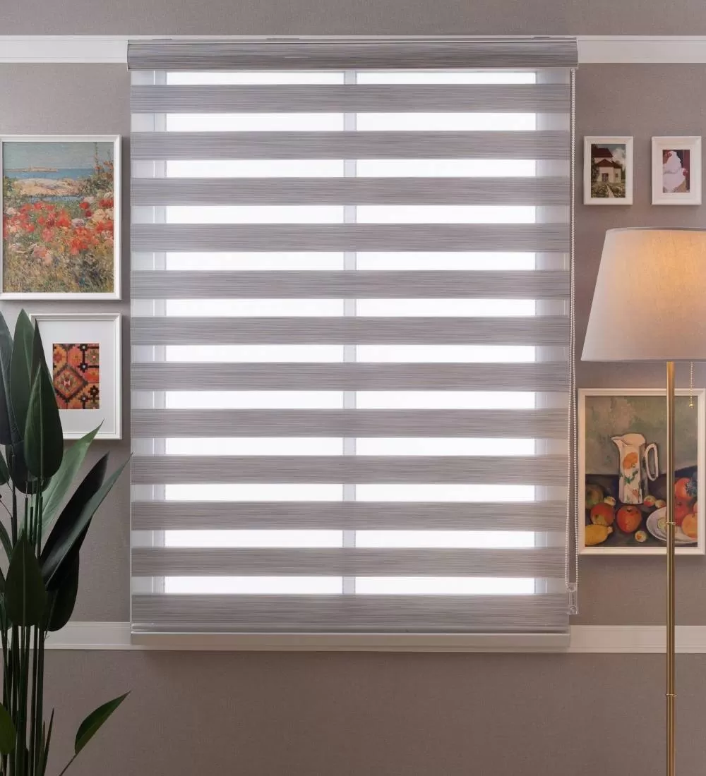 Tarin Classic Light Filtering Zebra Blinds