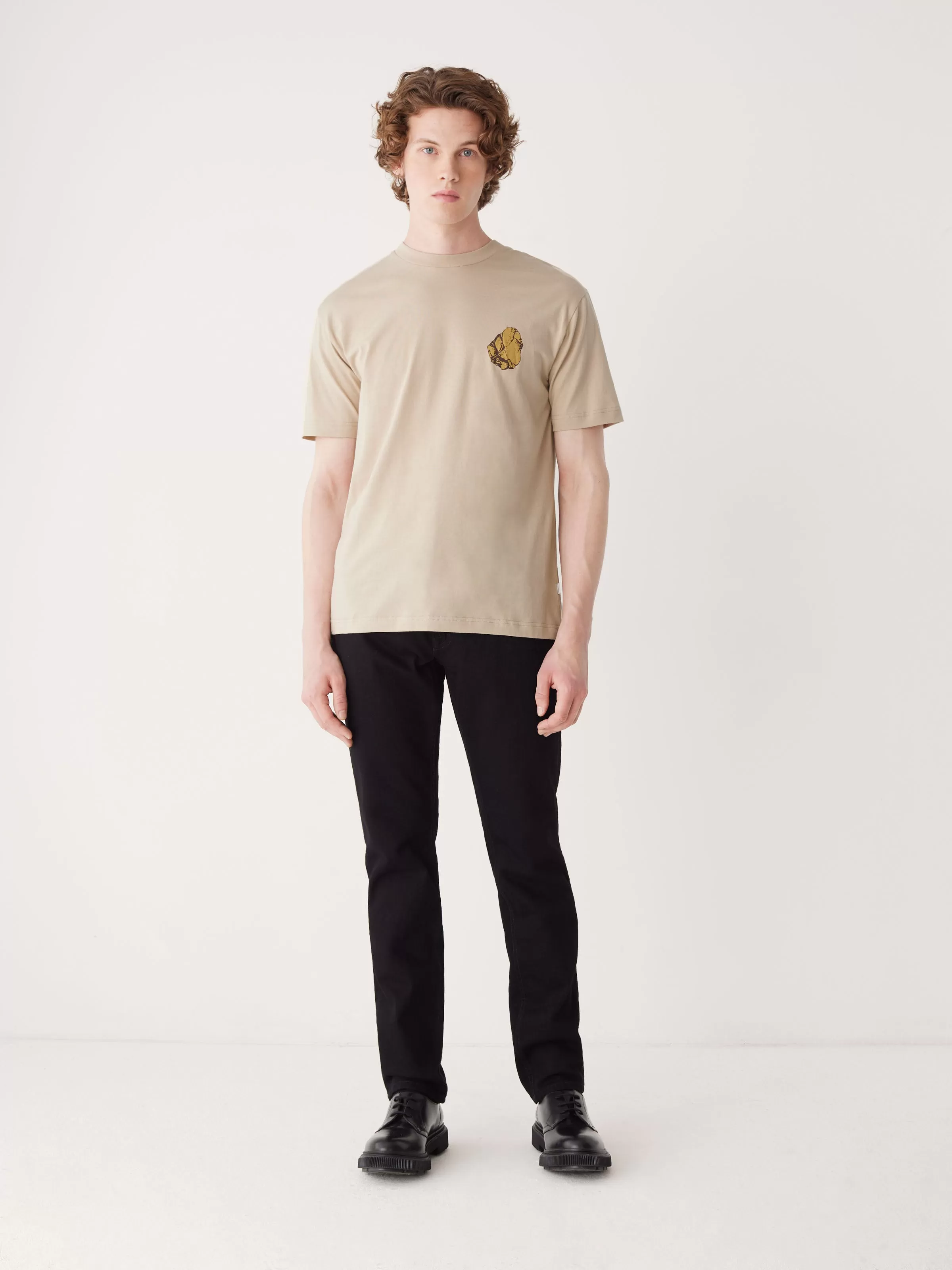 The Relaxed Fit Graphic T-shirt in Hummus Brown