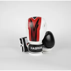 X 2.0 | Boxing Gloves